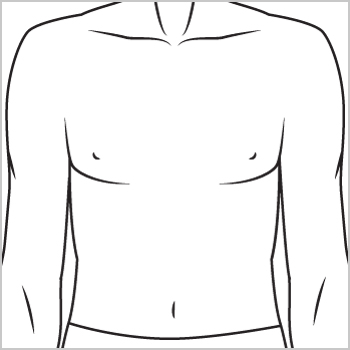 Sketch of a male torso